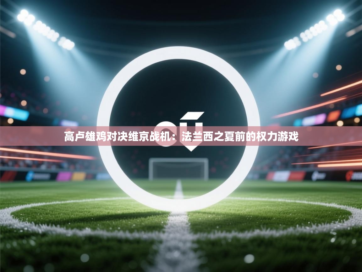 高卢雄鸡对决维京战机：法兰西之夏前的权力游戏  第1张