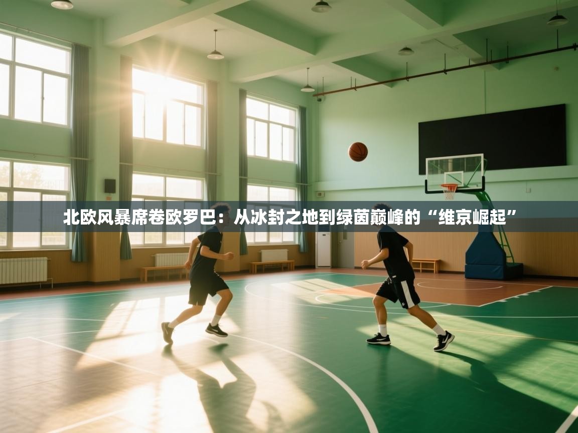 北欧风暴席卷欧罗巴：从冰封之地到绿茵巅峰的“维京崛起”  第2张