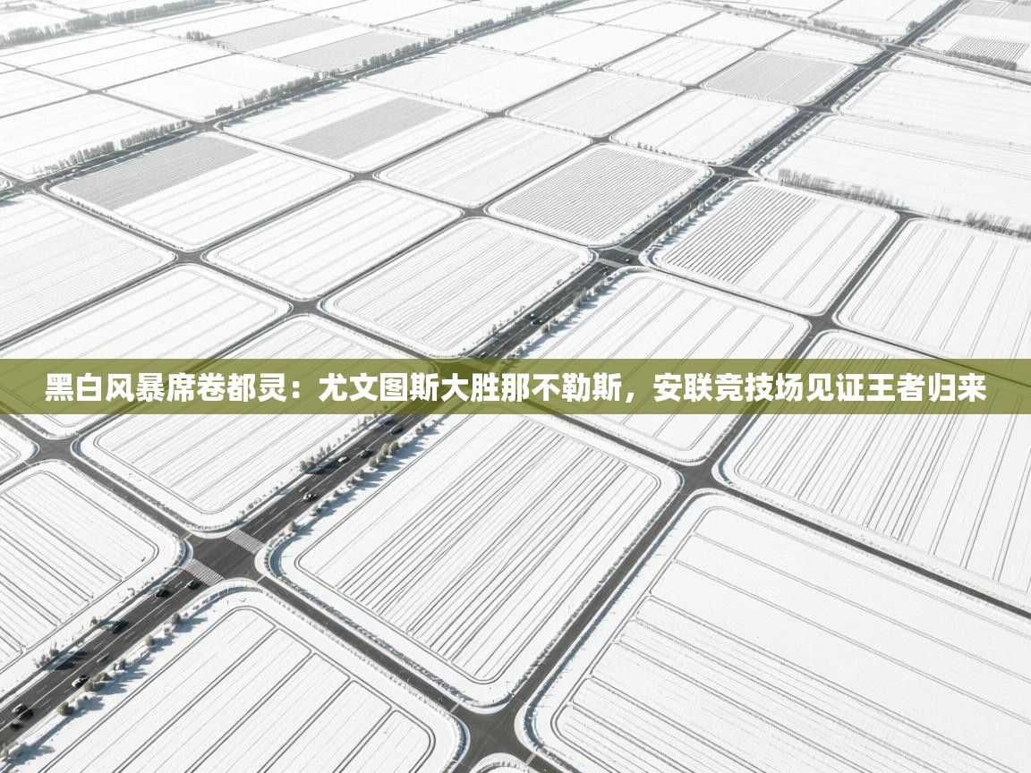 黑白风暴席卷都灵:尤文图斯大胜那不勒斯,安联竞技场见证王者归来 第2张