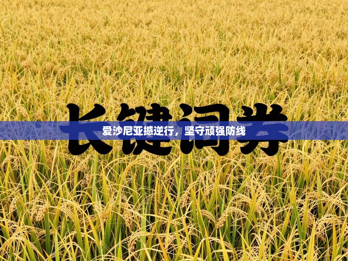 爱沙尼亚撼逆行，坚守顽强防线  第1张