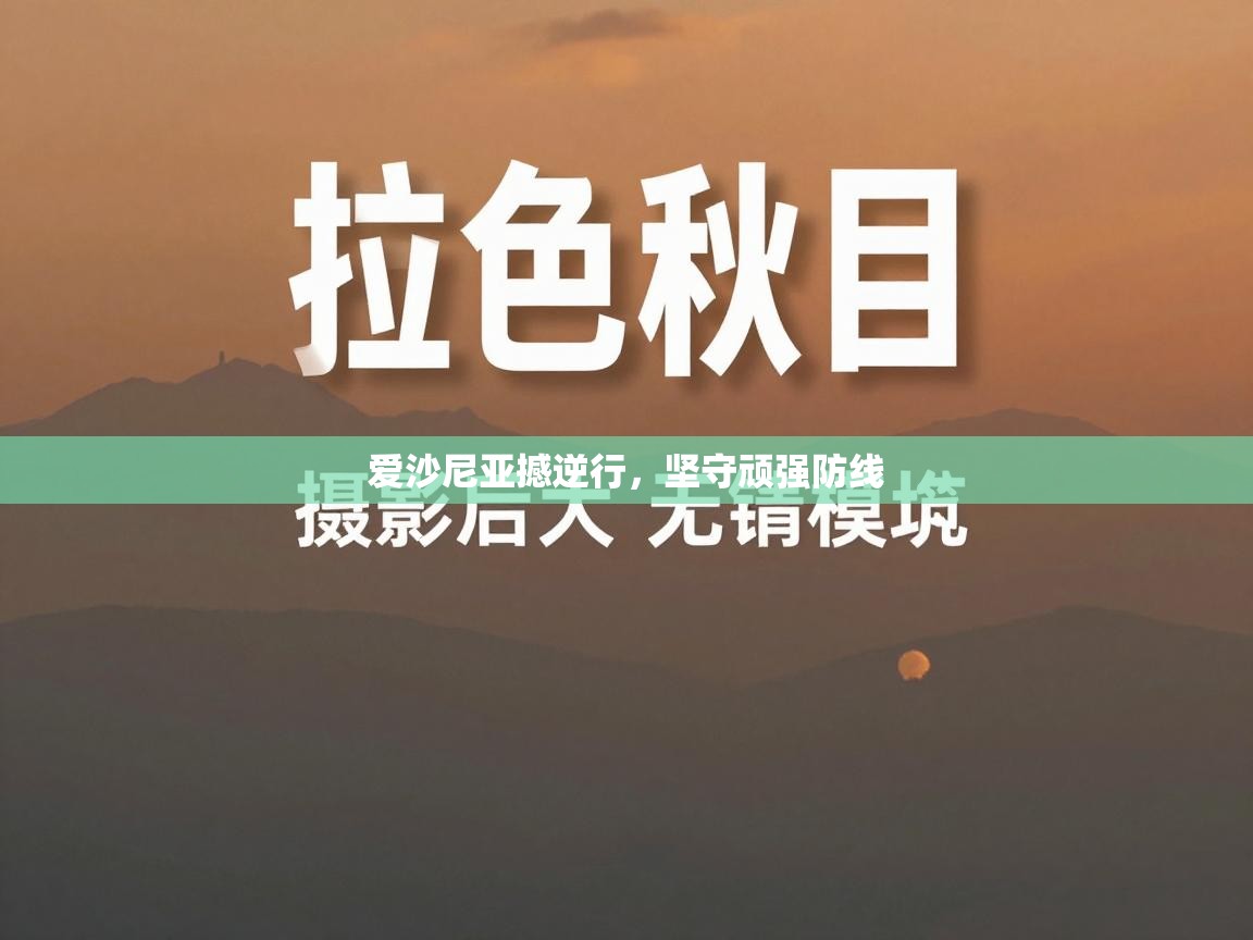 爱沙尼亚撼逆行，坚守顽强防线  第2张